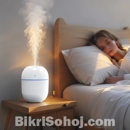 Colorful Egg Humidifier with Night Light